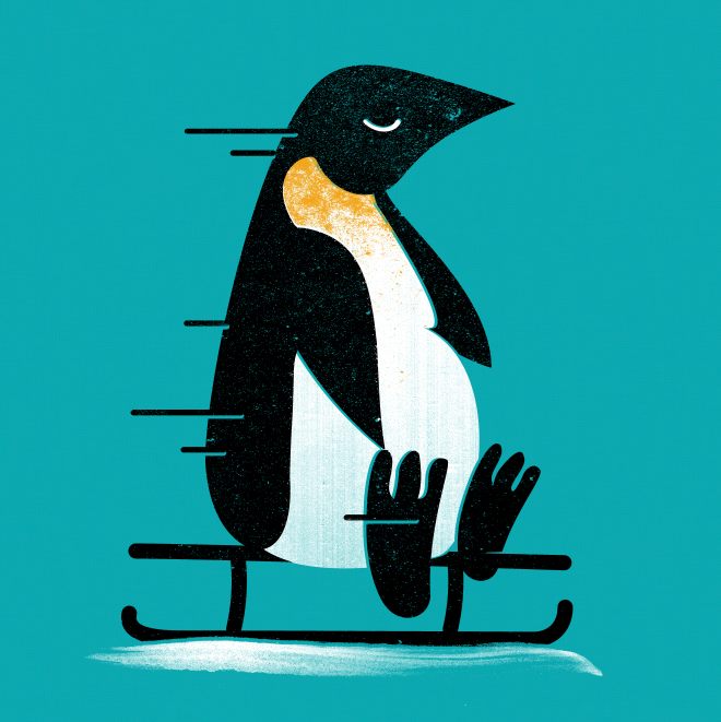 Sledding pinguin